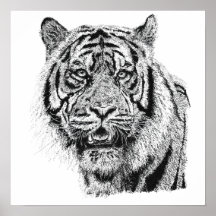 Pointillism Tiger Head Black & White Wildlife Art