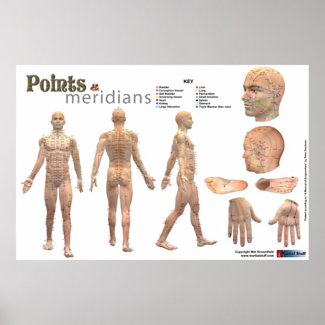 Points and meridians of the body - Annotated Poster (Front)