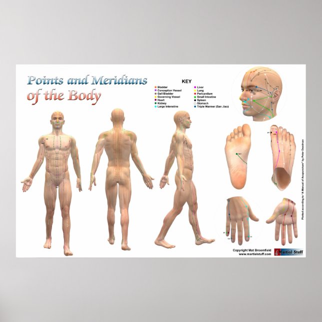 Points and meridians of the body poster (Front)