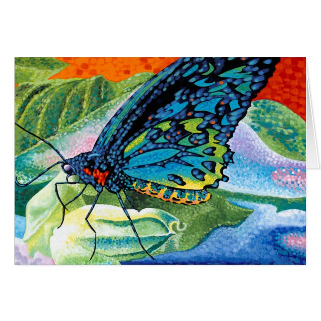 Poised Butterfly II (Front Horizontal)