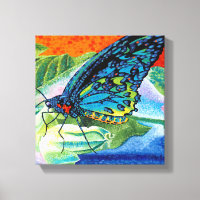 Poised Butterfly II