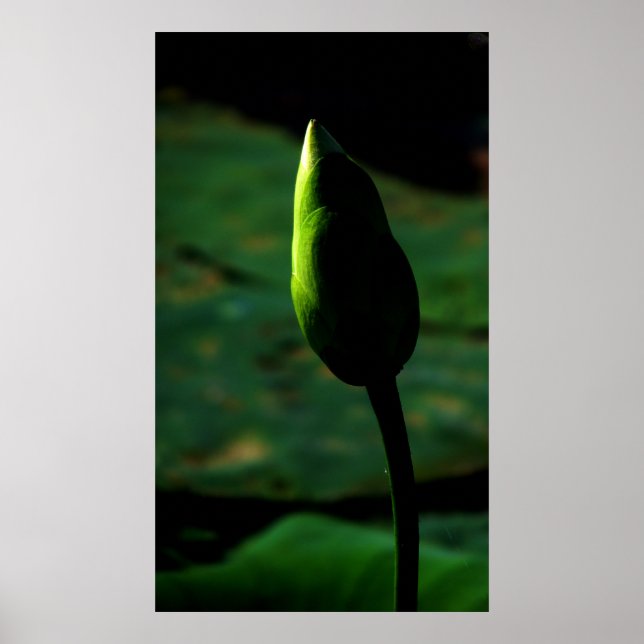 Poised for greatness poster (Front)