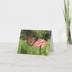 Poised Monarch Butterfly Note Card