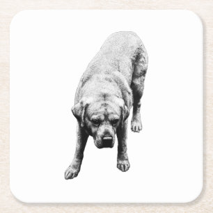 Poised Strength Square Paper Coaster