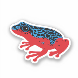 Poison Dart Frog