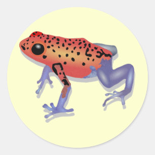 Poison Dart Frog Classic Round Sticker