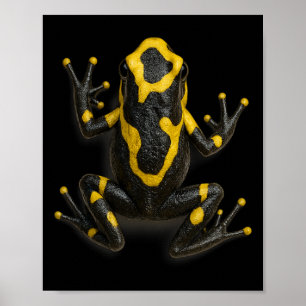 Poison Dart Frog Climbing Design Realistic Jungle Poster