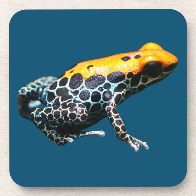 Poison Dart Frog Coaster (Front)
