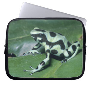 Poison Dart Frog, (Dendrobates auratus) Cahuita Laptop Sleeve
