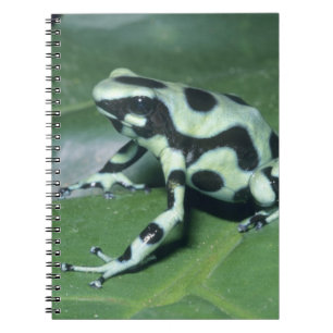 Poison Dart Frog, (Dendrobates auratus) Cahuita Spiral Notebook