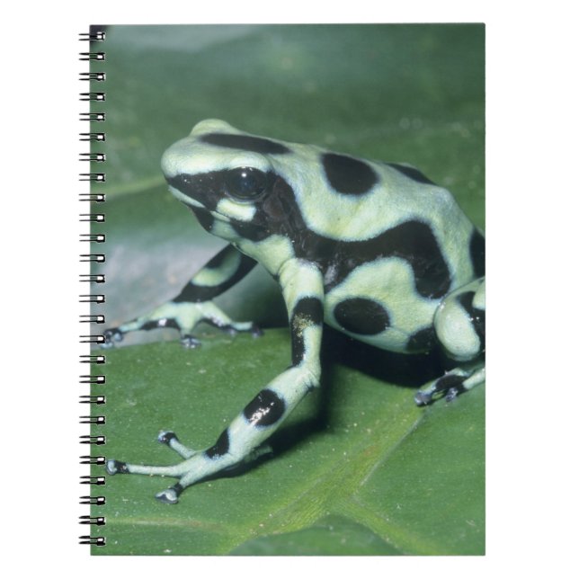 Poison Dart Frog, (Dendrobates auratus) Cahuita Spiral Notebook (Front)