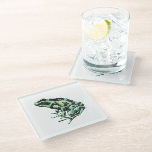 Poison dart frog glass coaster
