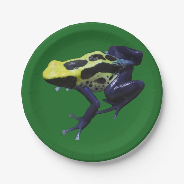 Poison Dart Frog Paper Plate (Front)