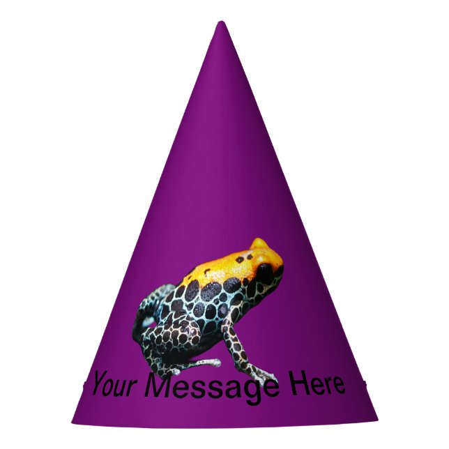 Poison Dart Frog Party Hat (Front)