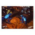 Poison Dart Frogs