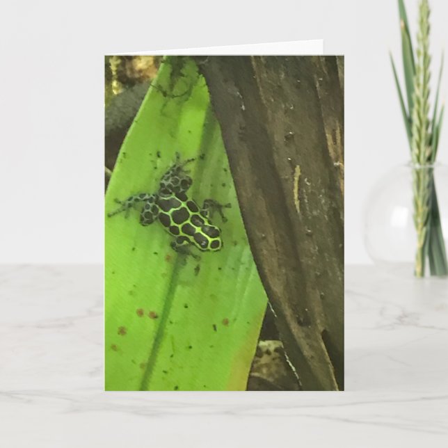 Poison Green Frog Holiday Card (Front)