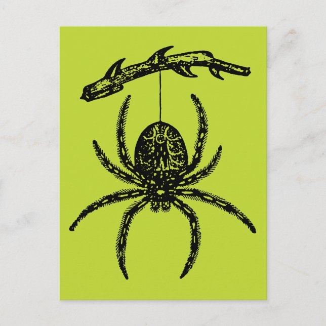 Poison Green Spider Postcard (Front)