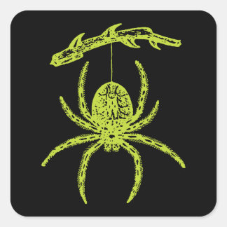 Poison Green Spider Square Sticker