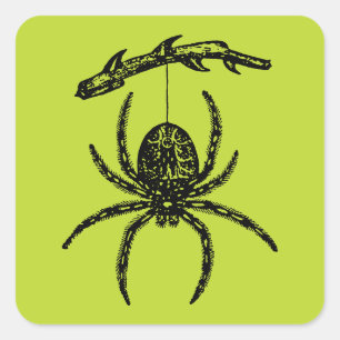 Poison Green Spider Square Sticker