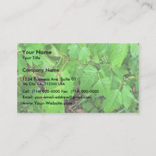 Poison ivy business card