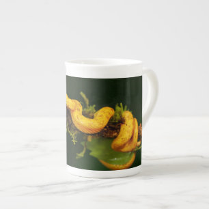 Poison Viper Snake from Costa Rica Bone China Mug