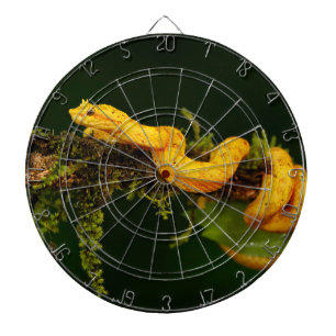 Poison Viper Snake from Costa Rica Dartboard