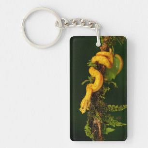 Poison Viper Snake from Costa Rica Key Ring