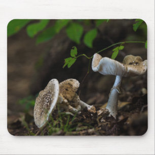 Poisonous Beauty Mouse Pad