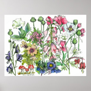 Poisonous Plants Herbs Watercolor Flowers Poster