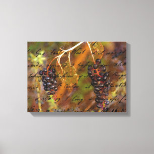 Pokeberries Canvas Print
