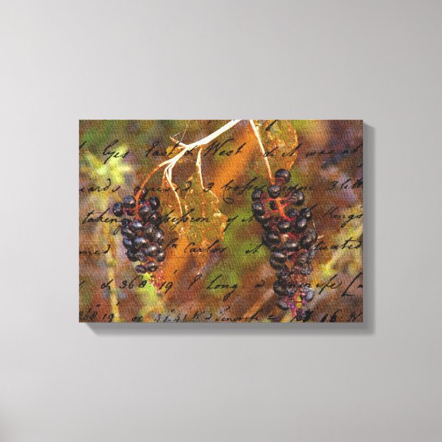 Pokeberries Canvas Print (Front)