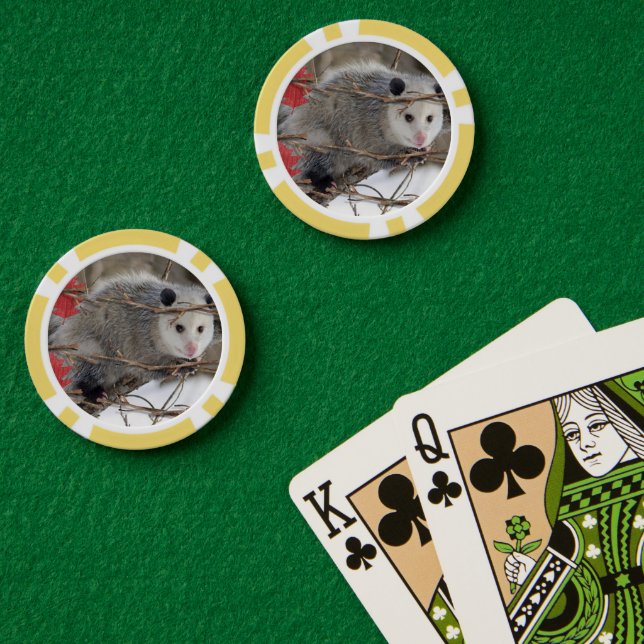 Poker Chips Opossum Nature (Poker Table (Double))