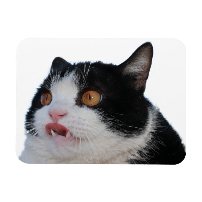 Pokey Magnet (Horizontal)