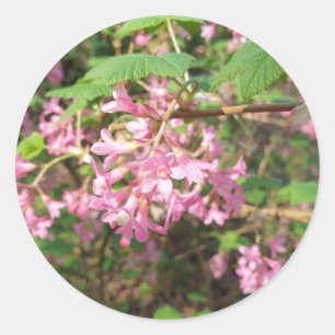 Pokey's Pink in the Park Classic Round Sticker