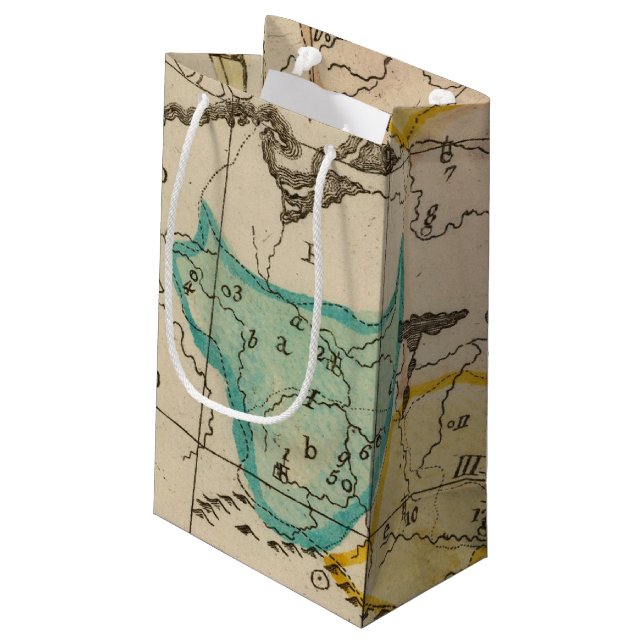 Poland 6 small gift bag (Back Angled)