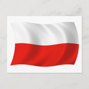 Poland Flag Postcard