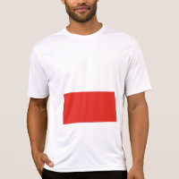 Poland flag