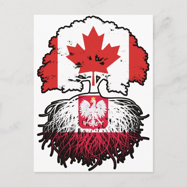 Poland Polish Canadian Canada Tree Roots Flag Postcard (Front)