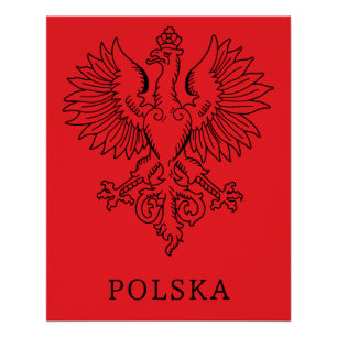 Poland's White Eagle Contemporary State Emblem Poster