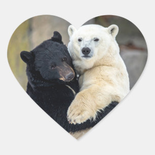 Polar and black bear hugging heart sticker