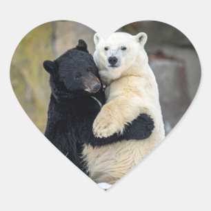 Polar and black bear hugging heart sticker