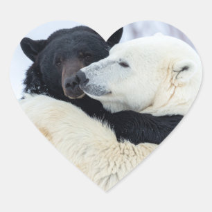Polar and black bear hugging heart sticker