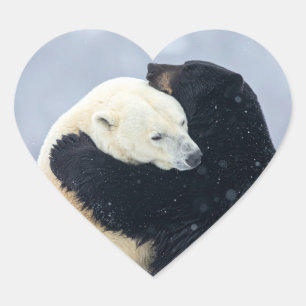 Polar and black bear hugging heart sticker