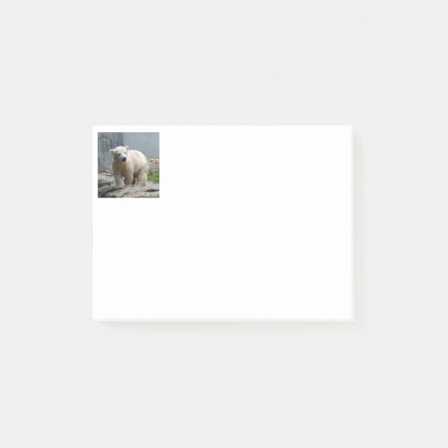 Polar Bear 010 Post-it Notes (Front)