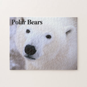 Polar Bear 11 Jigsaw Puzzle