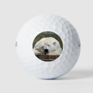 Polar_Bear_2015_0301 Golf Balls