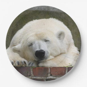 Polar_Bear_2015_0301 Paper Plate