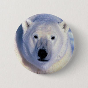 Polar Bear 6 Cm Round Badge