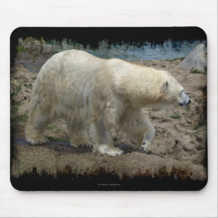 Polar Bear Arctic Animal Bear-lover Mousepad