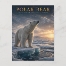 Polar Bear Arctic Sea Ice ANIMALS